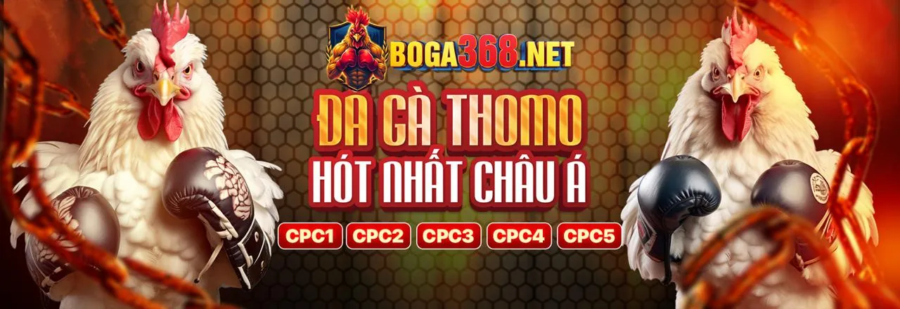 Sân vận động với ánh đèn rực rỡ và người hâm mộ cuồng nhiệt, thể hiện sự sôi động của cá cược thể thao ff6
